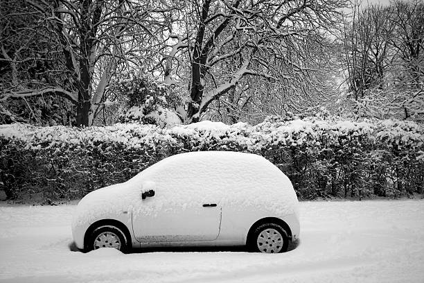 雪で覆われた車