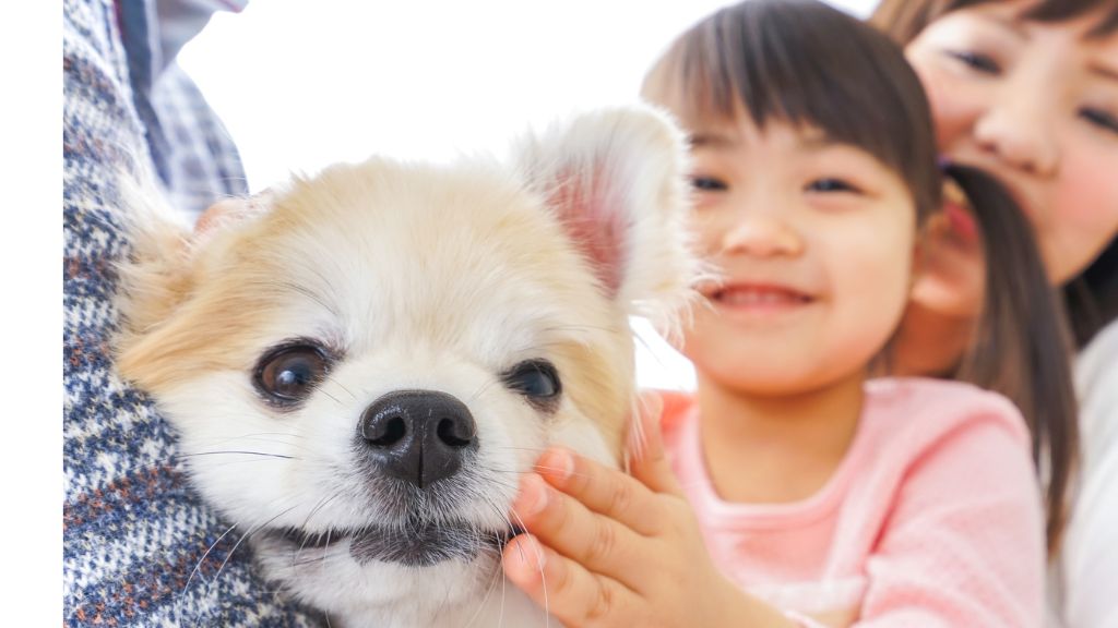 プライバシー性が守られた家では、安全性への配慮も必要