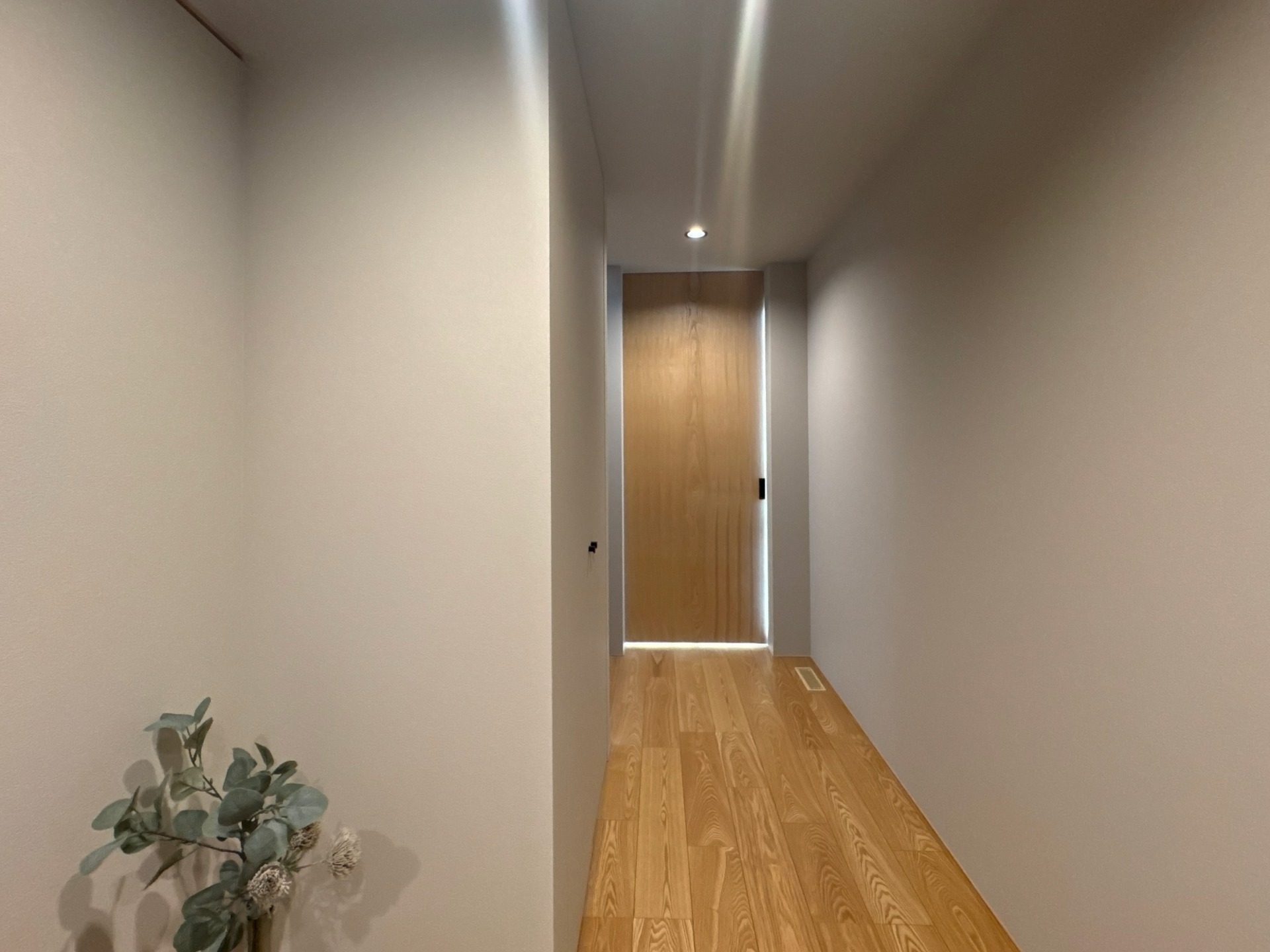 写真ギャラリー